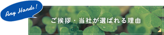 ご挨拶・当社が選ばれる理由